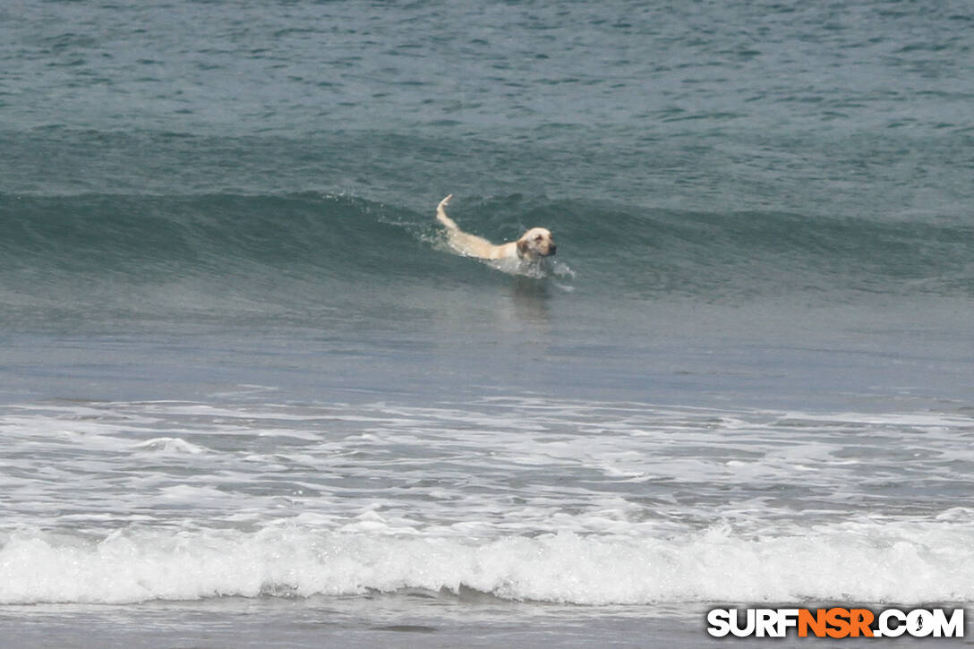 Nicaragua Surf Report - Report Photo 07/19/2023  10:44 PM 