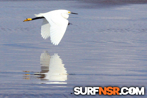 Nicaragua Surf Report - Report Photo 04/06/2013  11:59 AM 
