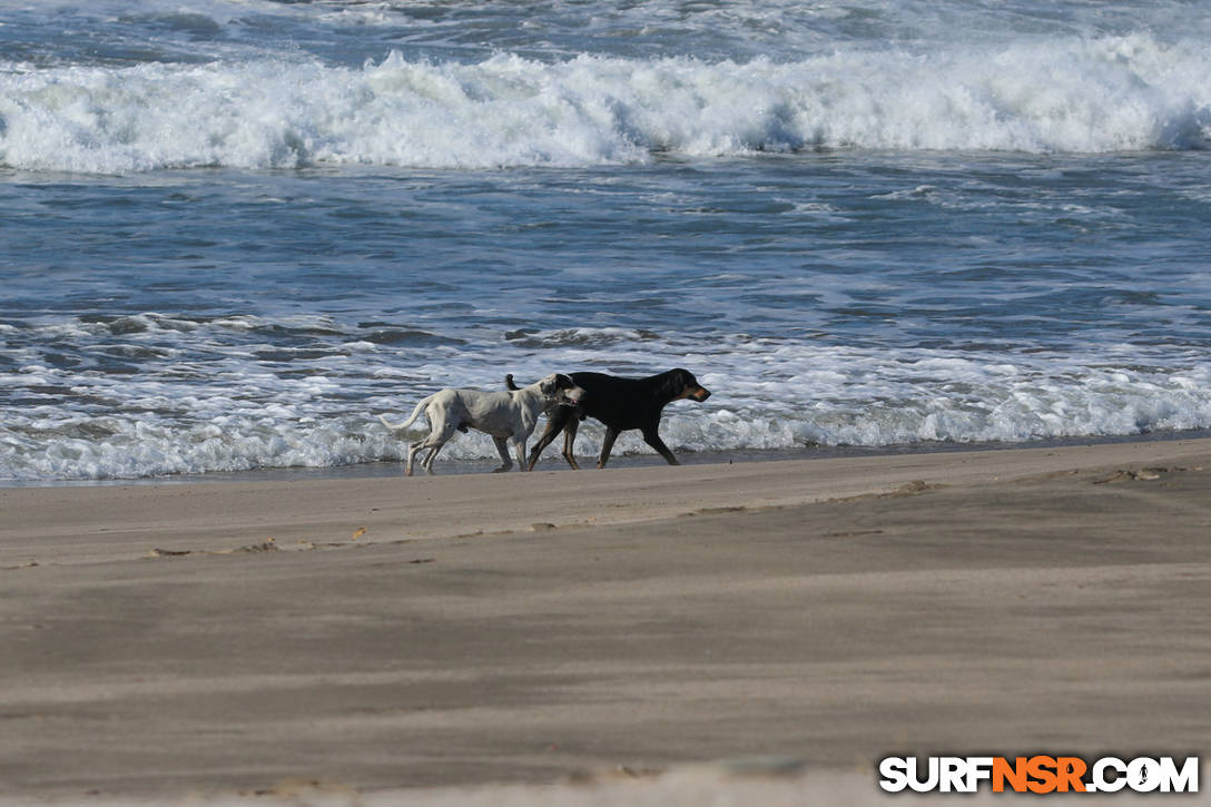 Nicaragua Surf Report - Report Photo 02/27/2016  11:17 AM 