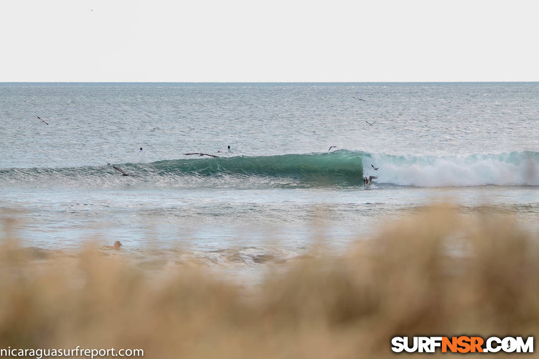 Nicaragua Surf Report - Report Photo 01/14/2015  4:06 PM 