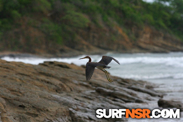 Nicaragua Surf Report - Report Photo 09/24/2009  6:08 PM 