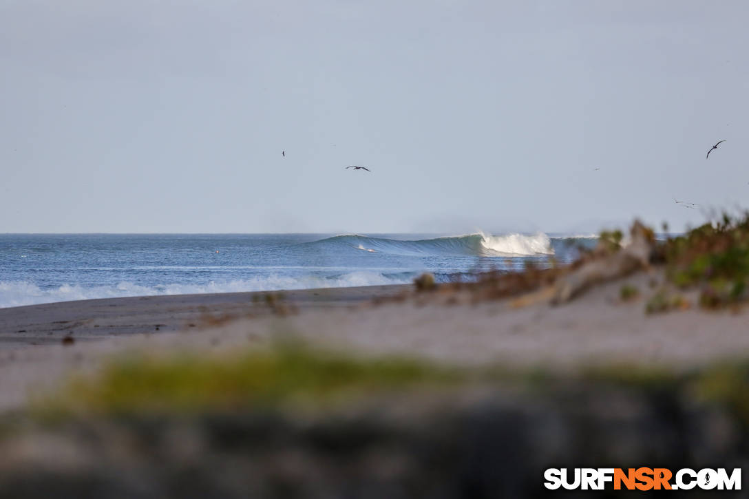 Nicaragua Surf Report - Report Photo 02/12/2019  6:03 PM 