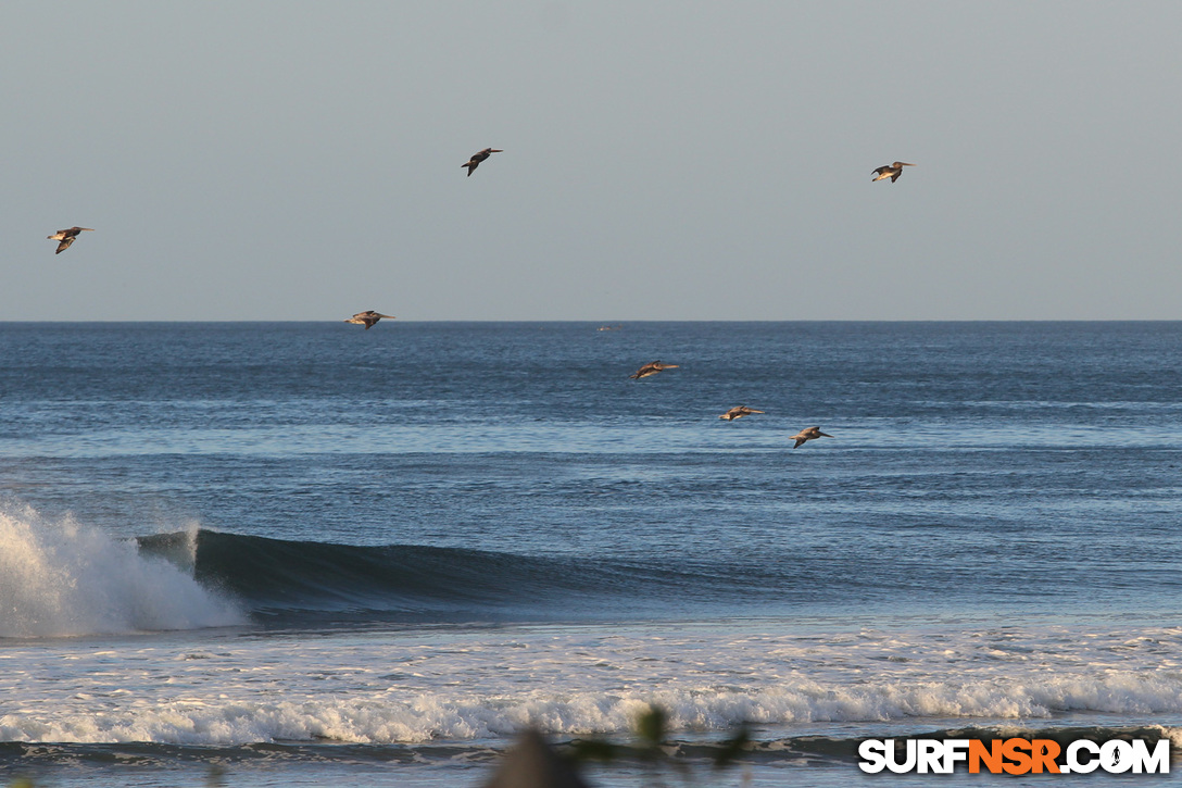 Nicaragua Surf Report - Report Photo 12/22/2016 2:15 PM