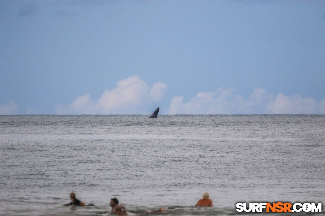 Nicaragua Surf Report - Report Photo 08/17/2022  6:15 PM 
