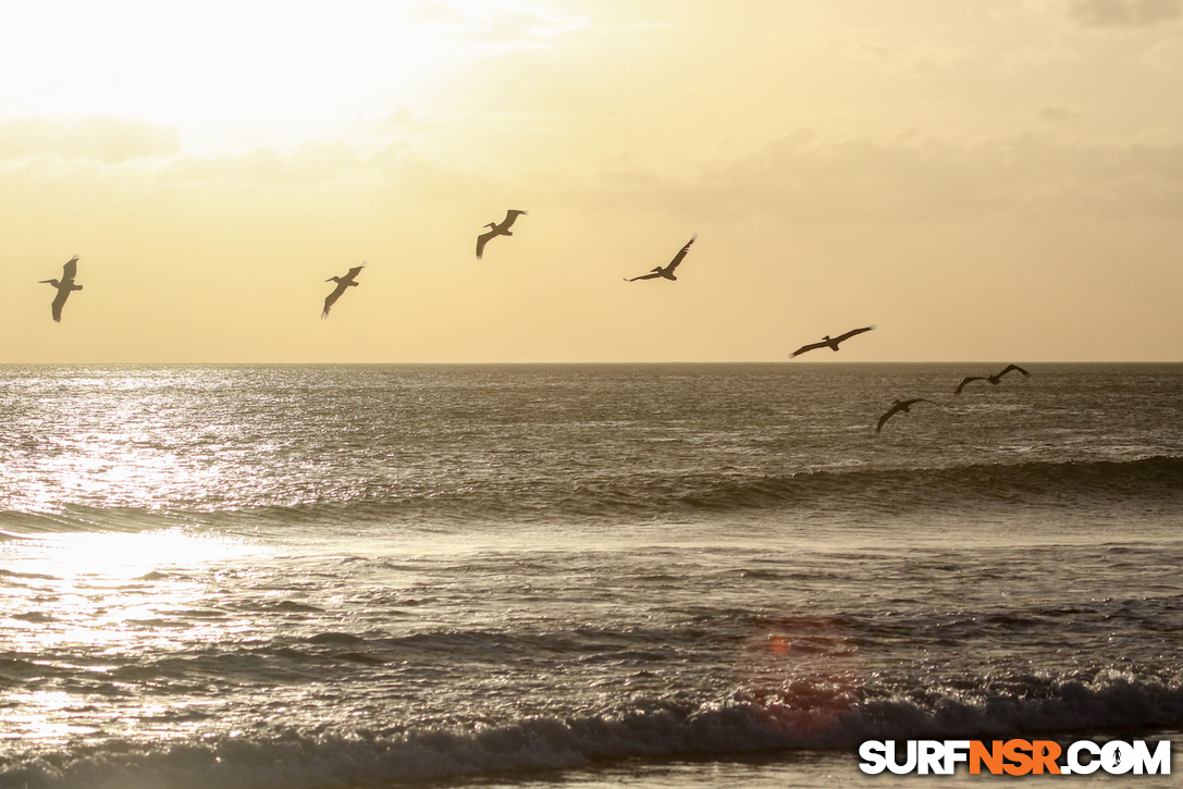 Nicaragua Surf Report - Report Photo 12/17/2017  7:02 PM 