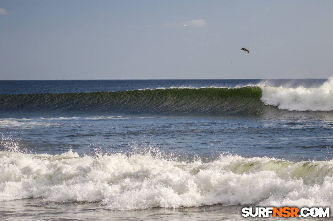 Nicaragua Surf Report - Report Photo 02/28/2021  7:06 PM 