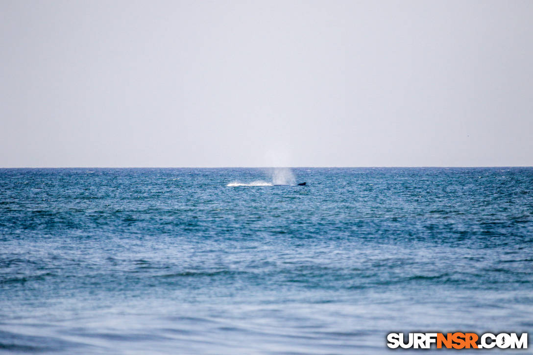 Nicaragua Surf Report - Report Photo 02/13/2021  4:02 PM 