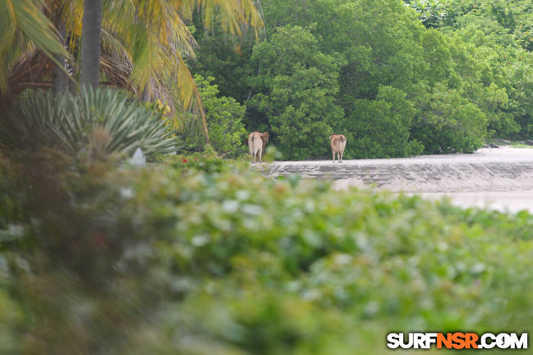 Nicaragua Surf Report - Report Photo 08/30/2023  11:45 PM 