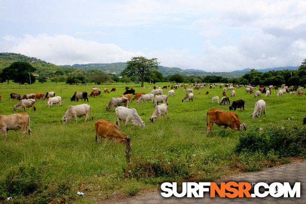 Nicaragua Surf Report - Report Photo 10/26/2009  2:39 PM 