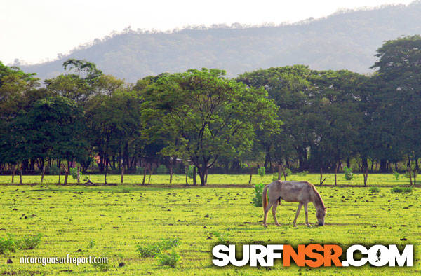 Nicaragua Surf Report - Report Photo 05/02/2010 3:39 PM