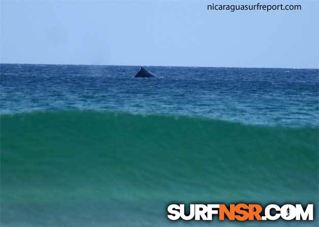 Nicaragua Surf Report - Report Photo 02/13/2007  4:31 PM 