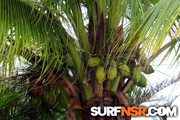 Nicaragua Surf Report - Report Photo 10/22/2014 2:28 PM