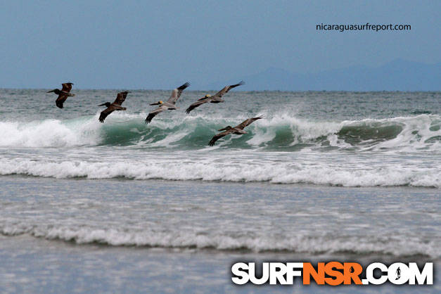 Nicaragua Surf Report - Report Photo 12/21/2009  7:13 PM 