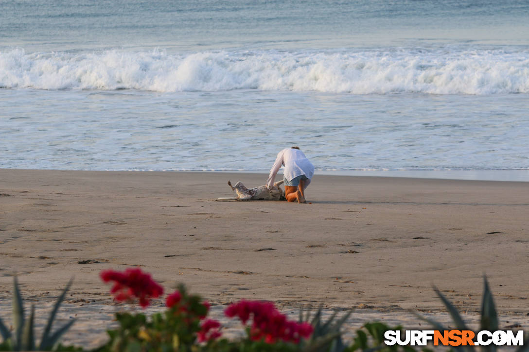 Nicaragua Surf Report - Report Photo 02/25/2016  1:00 PM 