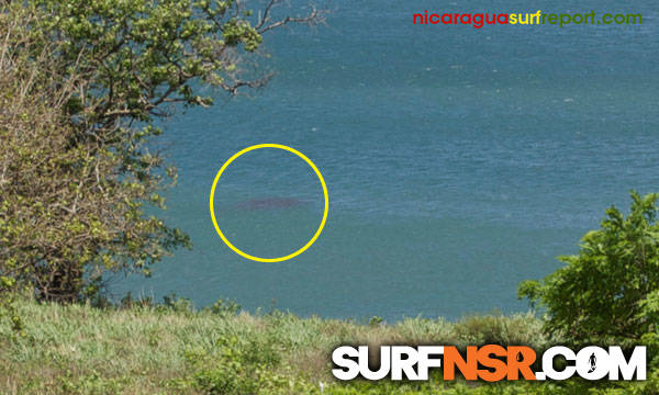 Nicaragua Surf Report - Report Photo 05/09/2010 2:00 PM