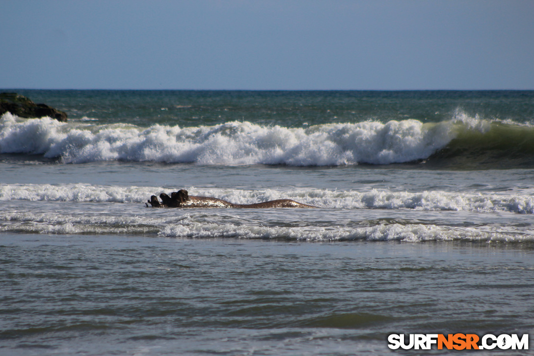 Nicaragua Surf Report - Report Photo 10/23/2017  7:11 PM 