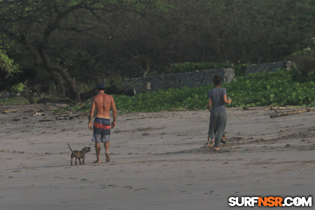 Nicaragua Surf Report - Report Photo 06/05/2019  2:06 PM 