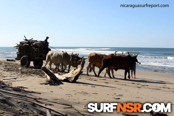 Nicaragua Surf Report - Report Photo 11/10/2010 5:13 PM