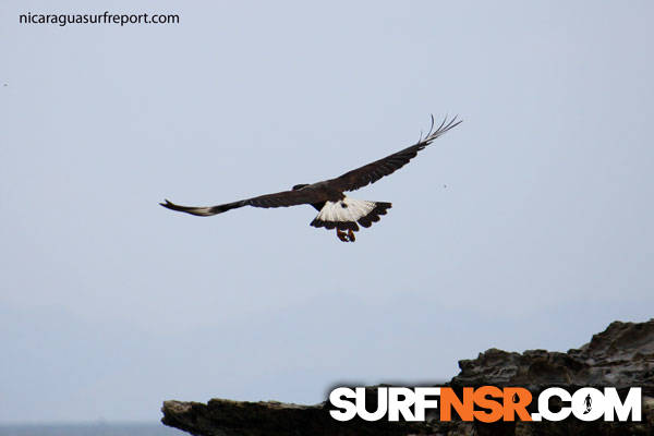 Nicaragua Surf Report - Report Photo 04/27/2011  4:45 PM 