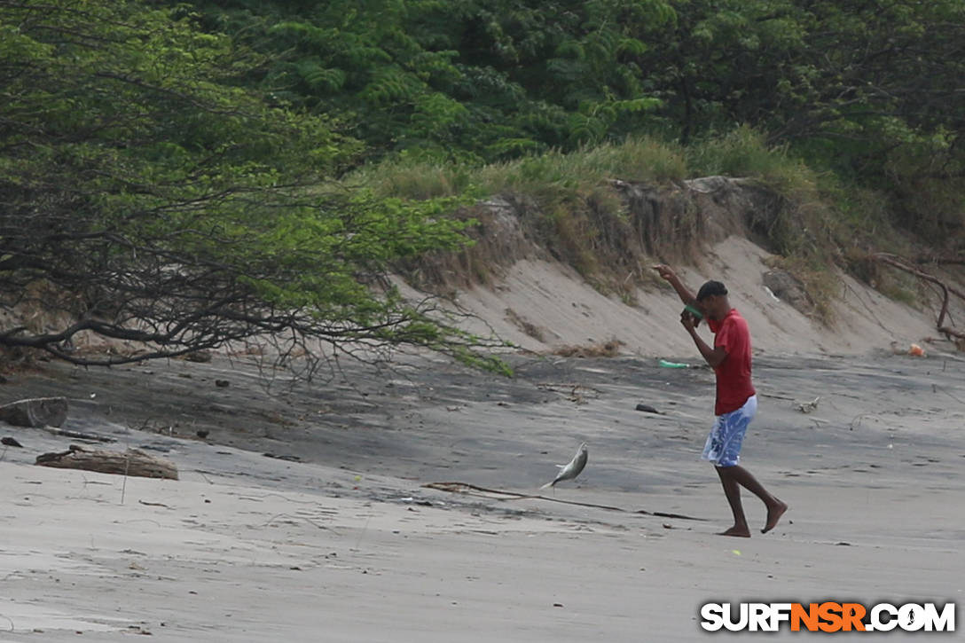 Nicaragua Surf Report - Report Photo 11/22/2015  5:08 PM 