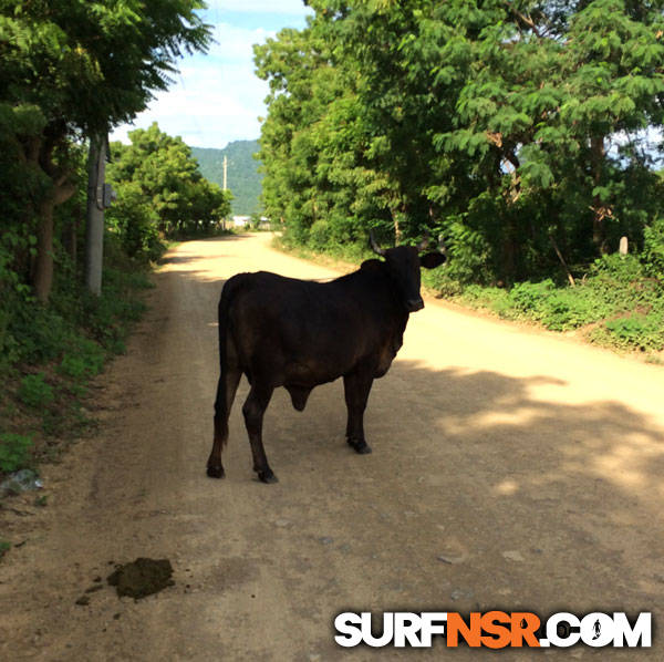 Nicaragua Surf Report - Report Photo 10/23/2014  2:35 PM 