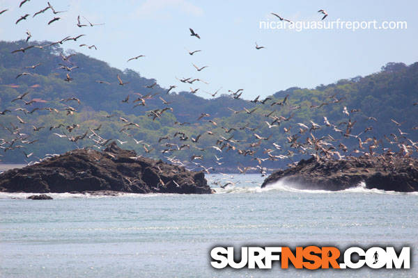 Nicaragua Surf Report - Report Photo 12/16/2012 2:51 PM