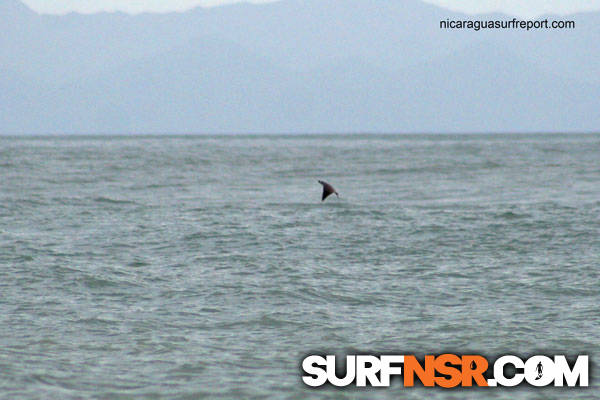 Nicaragua Surf Report - Report Photo 06/14/2010 4:59 PM