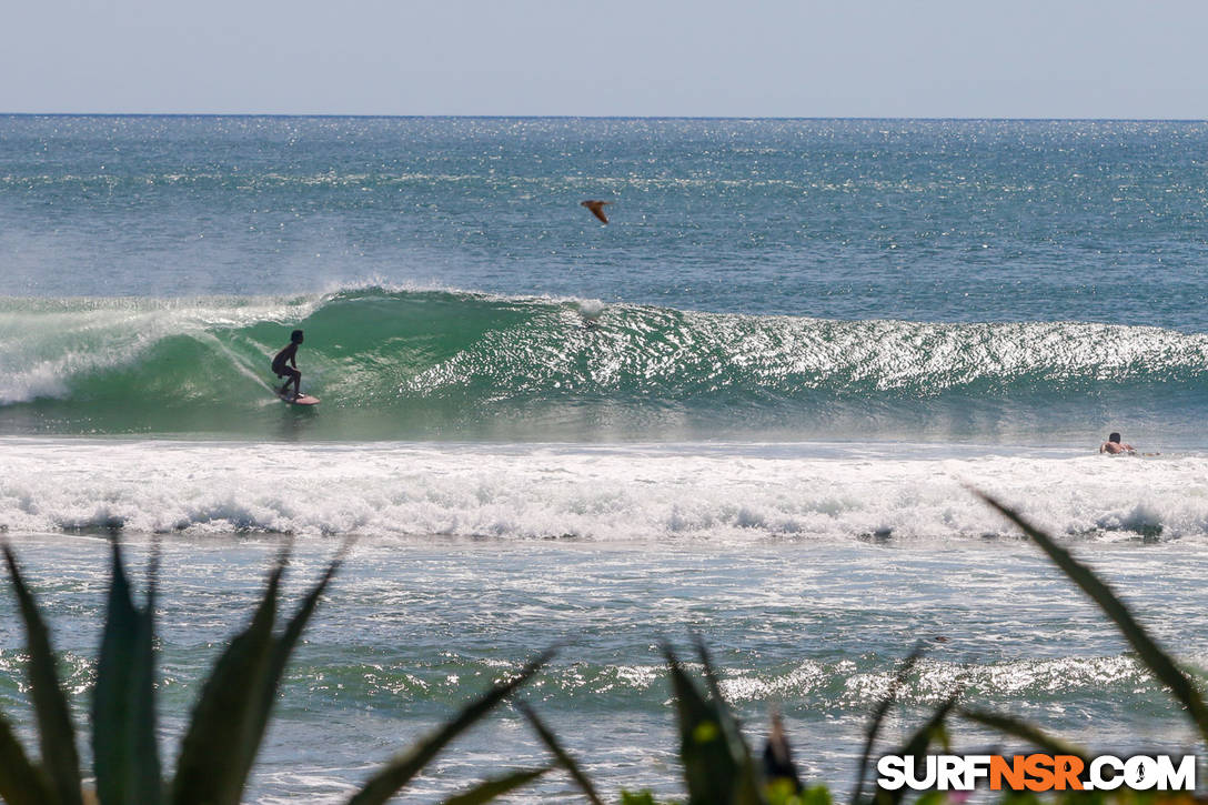 Nicaragua Surf Report - Report Photo 10/27/2022 3:54 PM