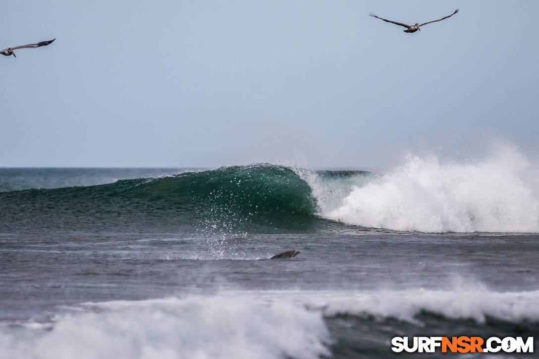 Nicaragua Surf Report - Report Photo 01/23/2023  10:06 AM 