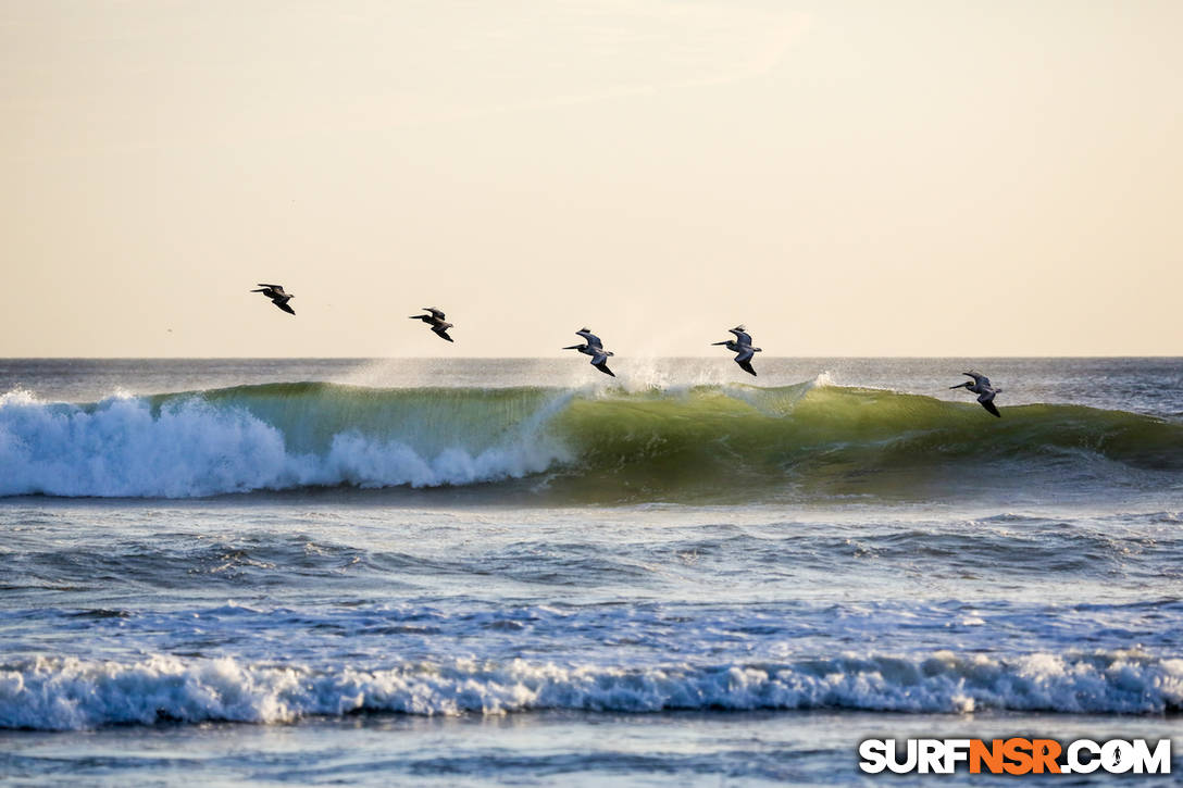 Nicaragua Surf Report - Report Photo 01/05/2019  8:17 PM 