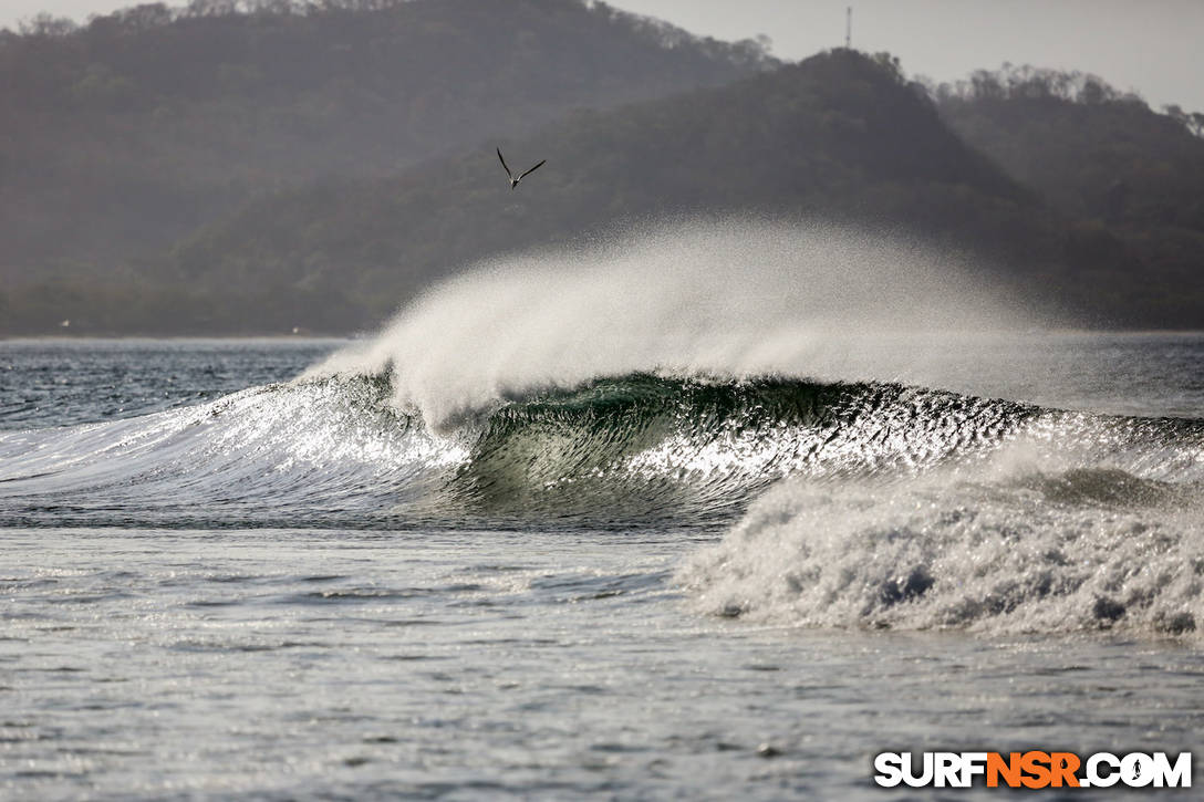 Nicaragua Surf Report - Report Photo 02/25/2019  3:16 PM 