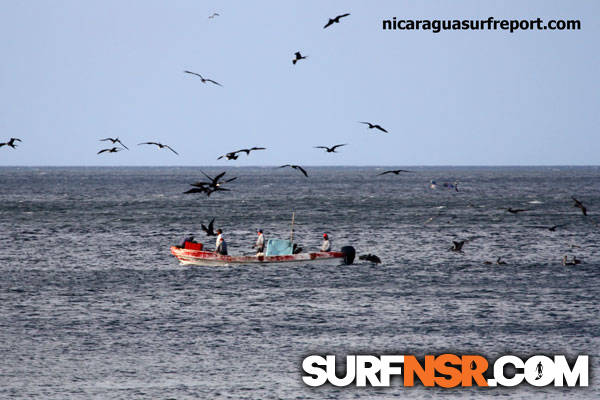 Nicaragua Surf Report - Report Photo 01/31/2013  8:41 PM 