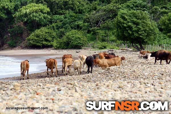 Nicaragua Surf Report - Report Photo 08/06/2011  3:57 PM 