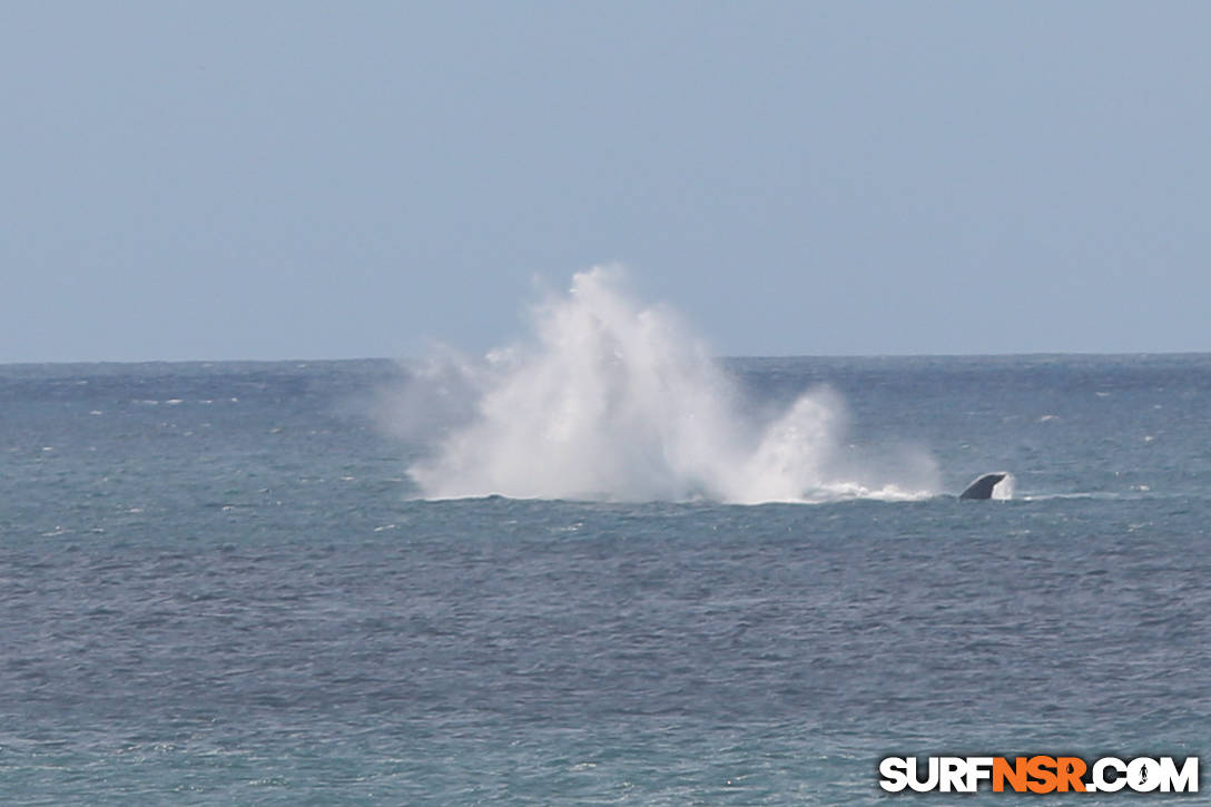 Nicaragua Surf Report - Report Photo 10/17/2020 12:45 PM