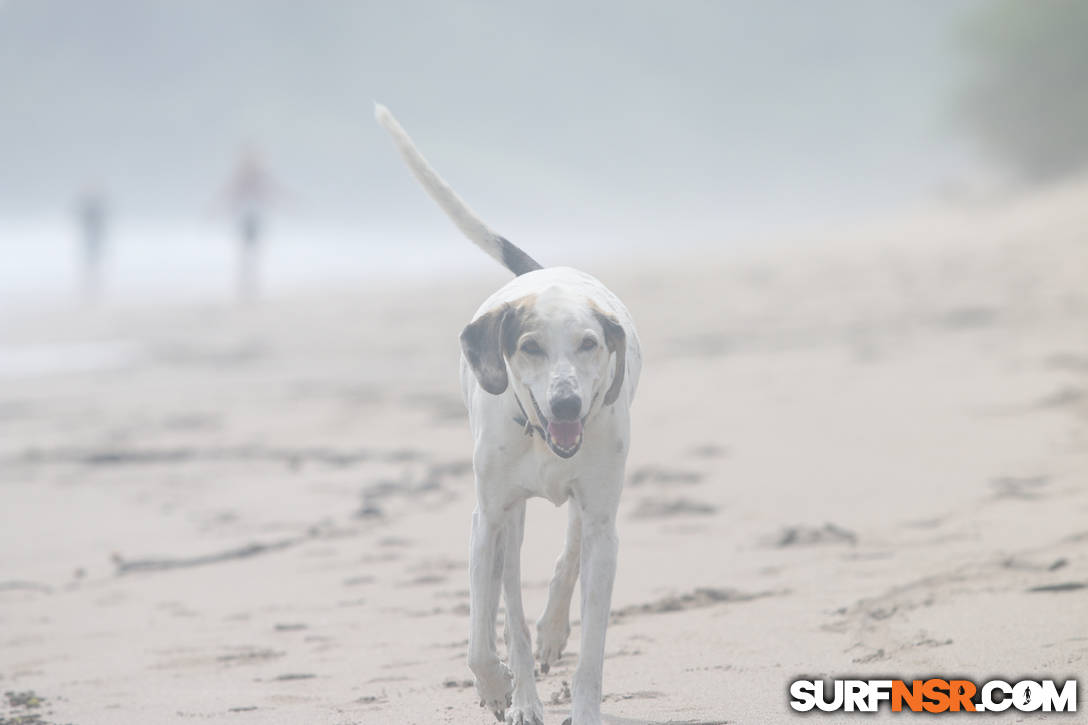 Nicaragua Surf Report - Report Photo 08/22/2020  3:24 PM 
