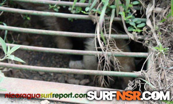 Nicaragua Surf Report - Report Photo 05/16/2010  7:46 PM 