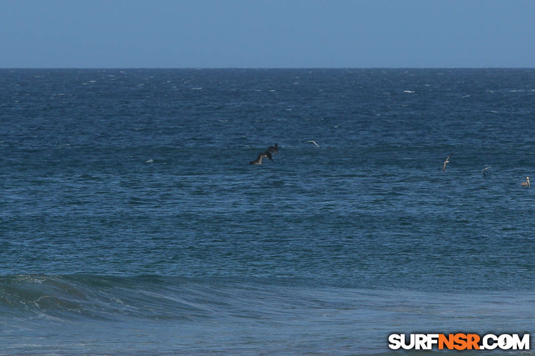 Nicaragua Surf Report - Report Photo 02/08/2016  11:39 AM 