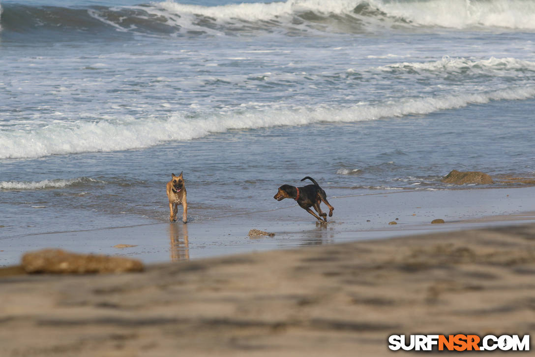 Nicaragua Surf Report - Report Photo 10/01/2015  12:51 PM 