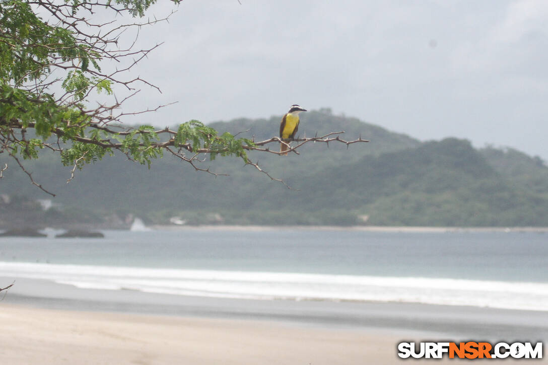 Nicaragua Surf Report - Report Photo 08/19/2023  8:04 PM 