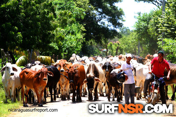 Nicaragua Surf Report - Report Photo 09/13/2013  4:35 PM 