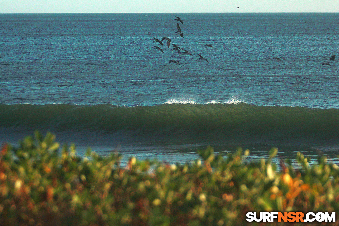 Nicaragua Surf Report - Report Photo 01/21/2018  7:55 PM 