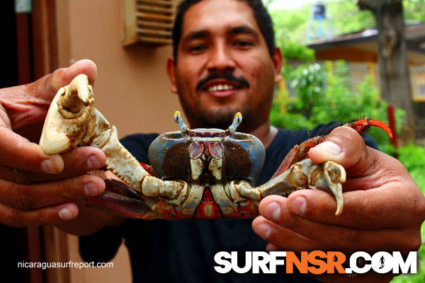 Nicaragua Surf Report - Report Photo 05/28/2010 4:15 PM