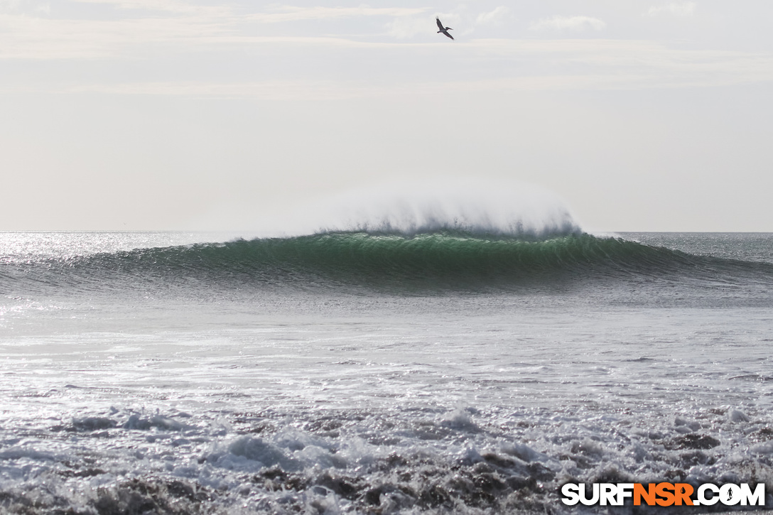 Nicaragua Surf Report - Report Photo 01/19/2018  6:12 PM 