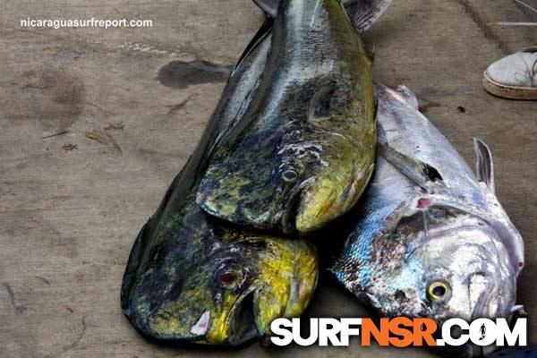 Nicaragua Surf Report - Report Photo 06/25/2011  5:50 PM 