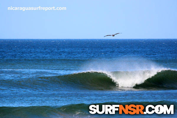 Nicaragua Surf Report - Report Photo 02/08/2013  7:38 PM 