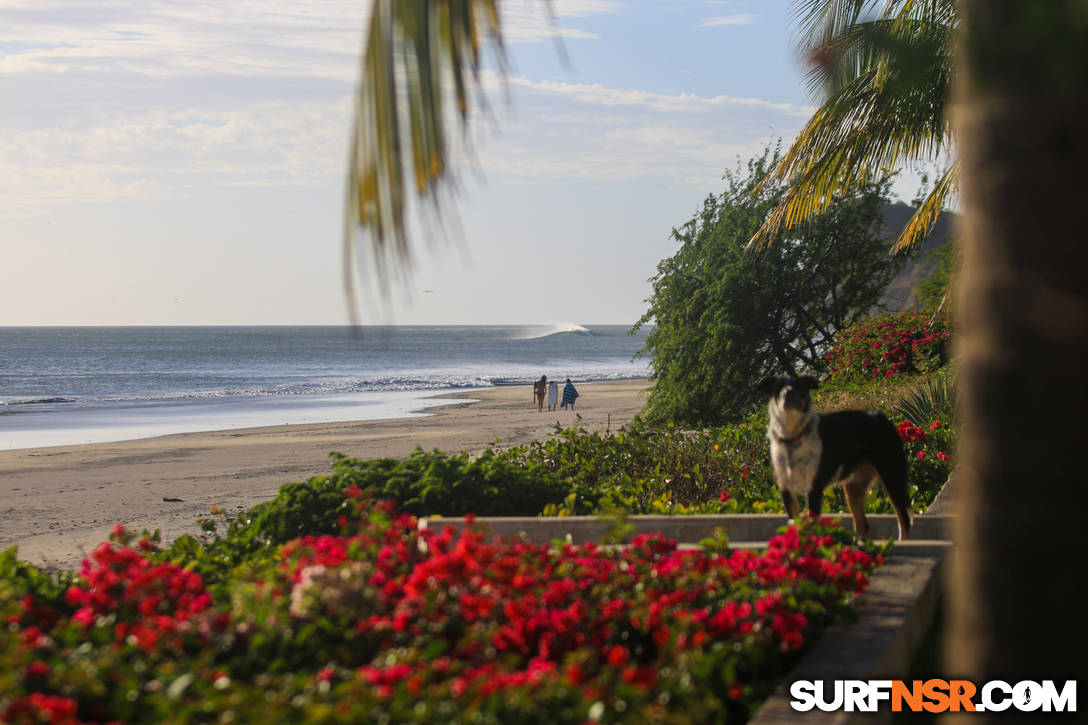 Nicaragua Surf Report - Report Photo 01/15/2020  9:43 PM 