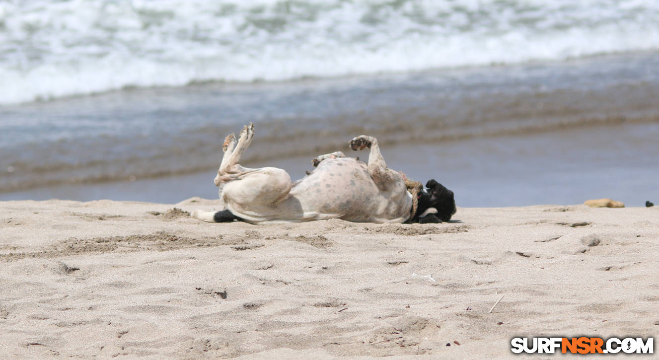 Nicaragua Surf Report - Report Photo 06/14/2015 2:20 PM