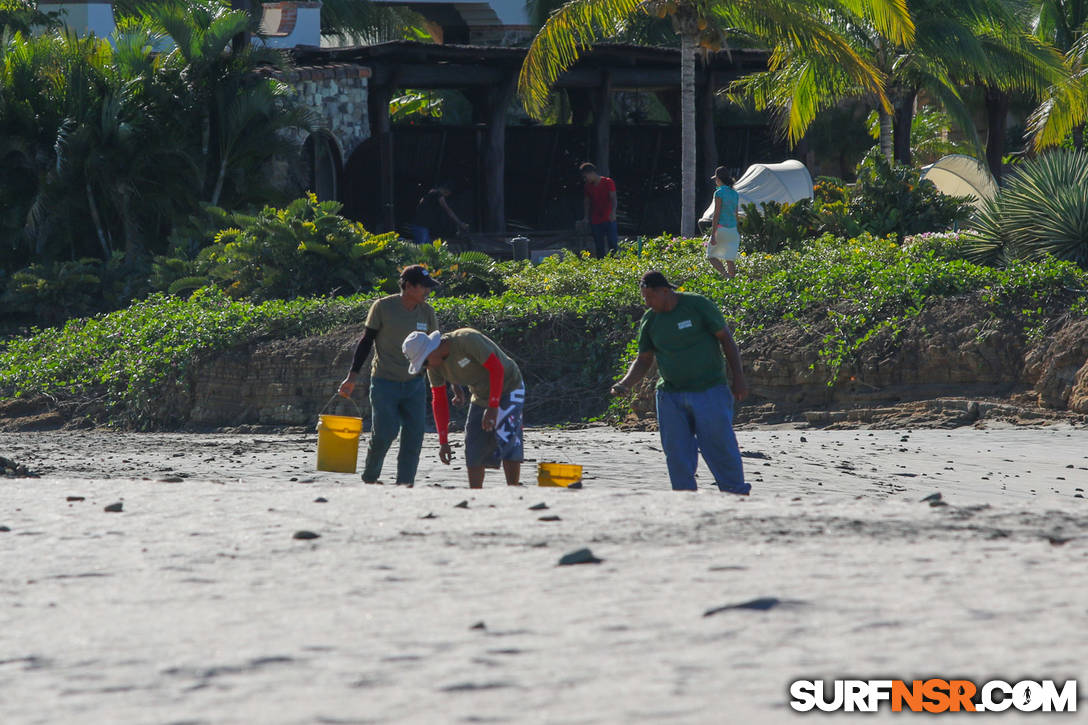 Nicaragua Surf Report - Report Photo 12/02/2015 11:27 AM