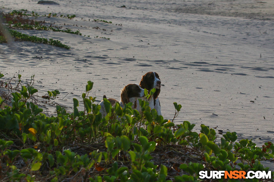 Nicaragua Surf Report - Report Photo 02/15/2016  1:43 PM 