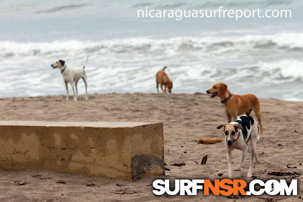 Nicaragua Surf Report - Report Photo 10/10/2012  8:19 PM 